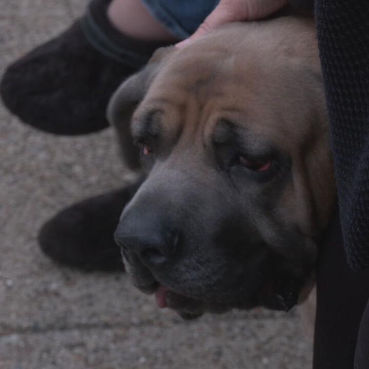 RAW CK DOGGIE LIBRARY concatenated 183432_frame_119167.jpeg